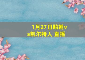 1月27日鹈鹕vs凯尔特人 直播